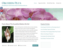 Tablet Screenshot of orchidsplus.com